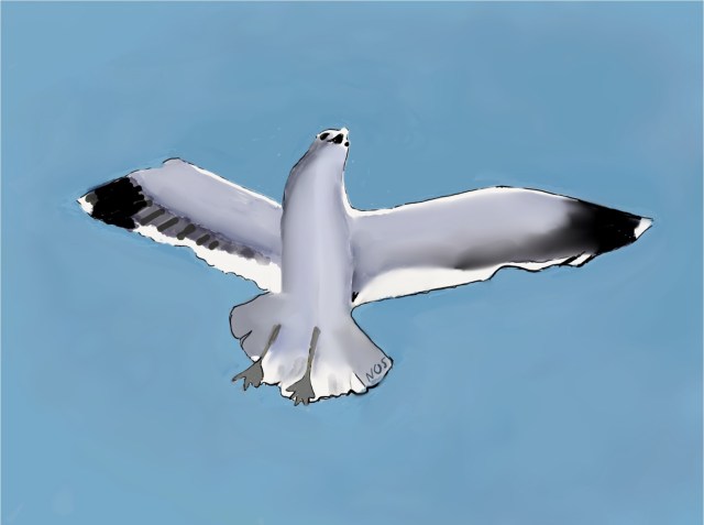 951FA92B-9B2C-46F5-8DDA-CD37F8C98FFF