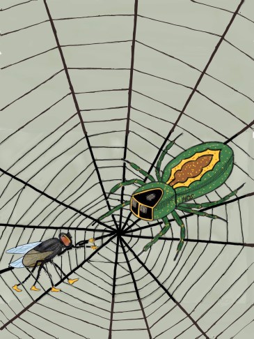 Paper.COPERTINA_FAVOLE.7